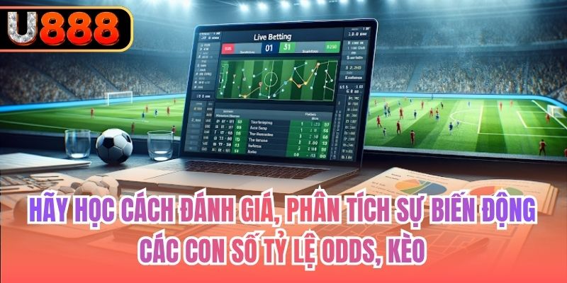 Hãy học cách đánh giá, phân tích sự biến động các con số tỷ lệ odds, kèo
