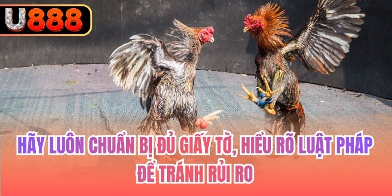 Hãy luôn chuẩn bị đủ giấy tờ, hiểu rõ luật pháp để tránh rủi ro