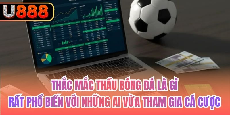 Thắc mắc thầu bóng đá là gì rất phổ biến với những ai vừa tham gia cá cược