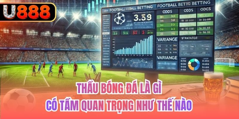 Thầu Bóng Đá Là Gì | Có Tầm Quan Trọng Như Thế Nào