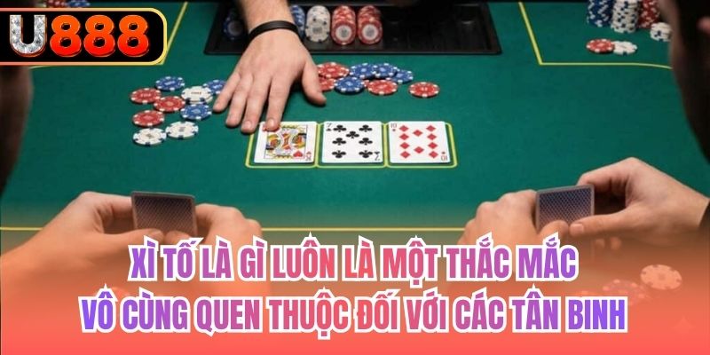 Xì tố là gì luôn là một thắc mắc vô cùng quen thuộc đối với các tân binh