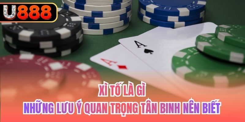 Xì Tố Là Gì | Những Lưu Ý Quan Trọng Tân Binh Nên Biết